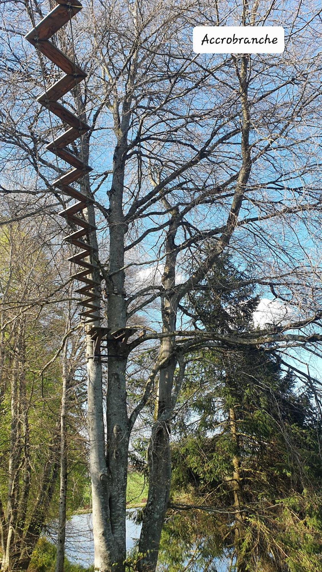 A L'Oree Des Volcans Sainte-Catherine  Exterior photo